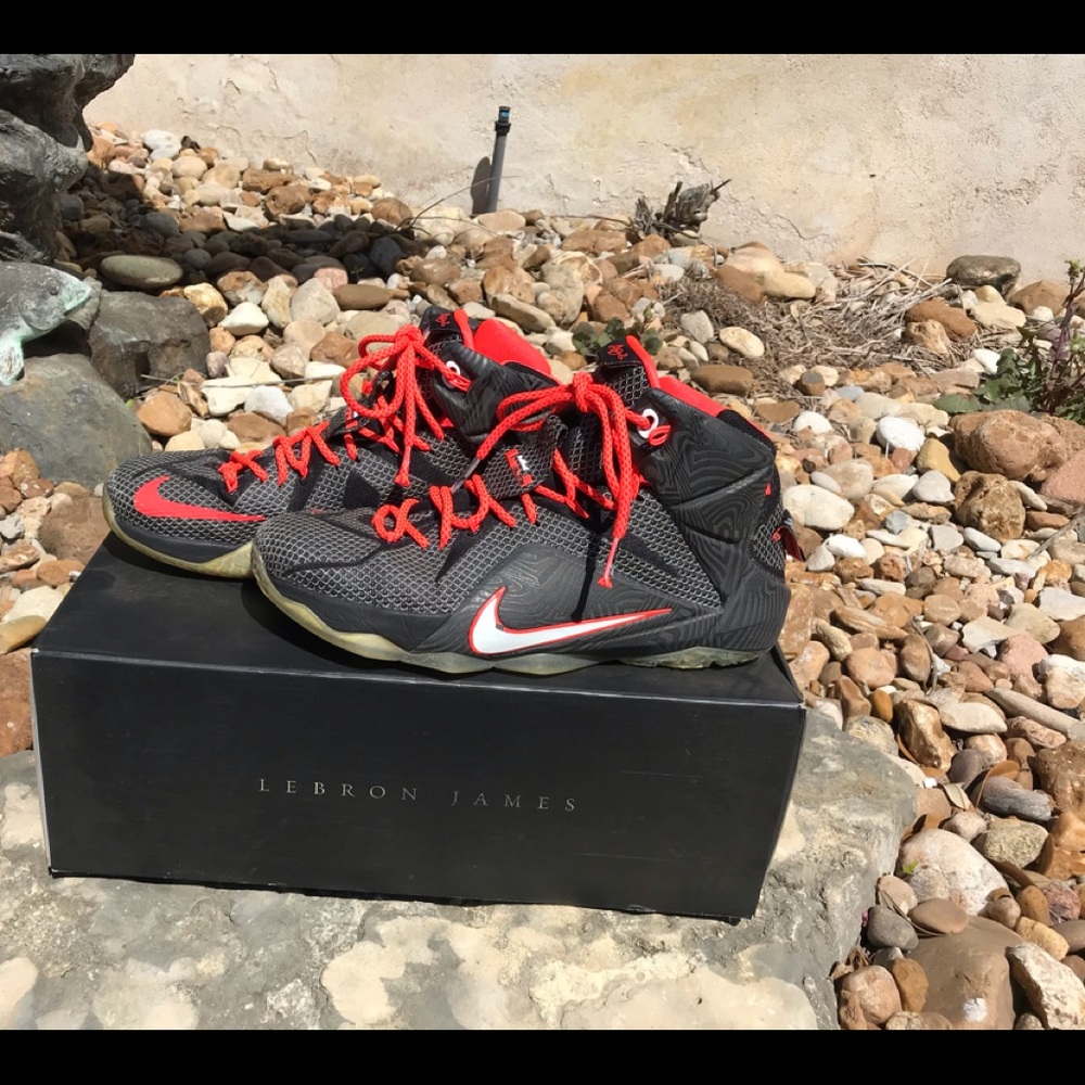 Nike Shoes / LeBron 12 Court Vision / Size 10.5